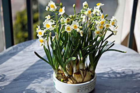 那汽車風水說法有哪些呢?