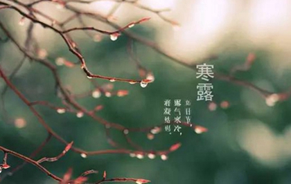 86年屬虎的人寒露出生命好嗎,屬虎的和什么屬相最配?