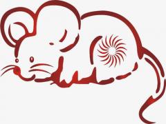 陰歷2020年十八日這天出生寶寶命運是好還是壞?