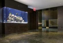 辦公室養魚的風水禁忌