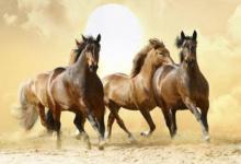 2002年是什么生肖?2002年出生的人是什么命?