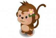 在猴年出生的人的命運如何?