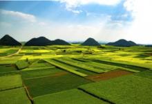 姓田的女孩子名字