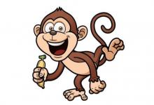 1980年是什么命,1980年出生是什么命?