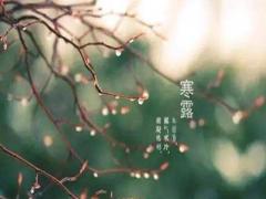 2020年寒露節氣出生的屬鼠寶寶命運好嗎,是什么命?