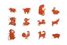 十二生肖誰是美麗的生肖?