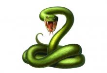 農歷正月出生屬蛇人的命運怎么樣?