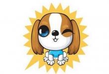 1982年是什么生肖?1982年出生是什么命運?