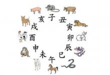 屬鼠和十二生肖婚姻配對解析