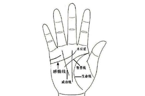 掌紋線的代表什么意思？運(yùn)勢如何？
