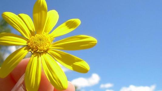 2020年陰歷十三日出生屬鼠的人一生命運(yùn)無憂嗎？