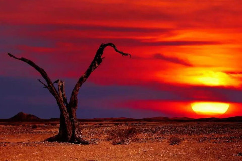 八字屬土的字有哪些?