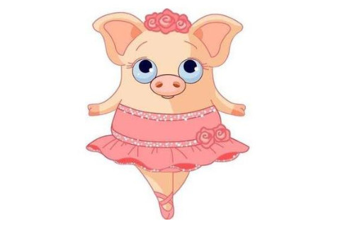 屬豬人的婚姻與命運怎樣?