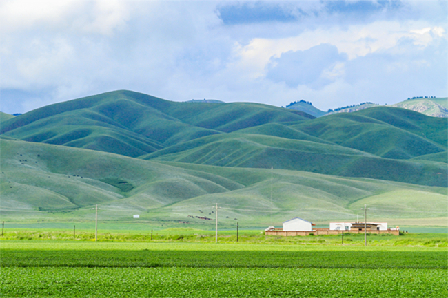2021年12生肖運(yùn)勢(shì)解析_2021年運(yùn)勢(shì)_屬蛇人2021年運(yùn)勢(shì)運(yùn)程