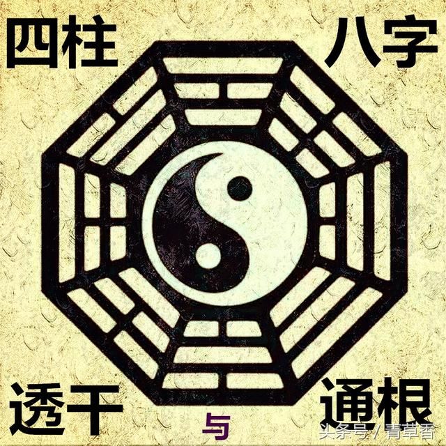 八字四柱算命網(wǎng)絡(luò)我國(guó)_四柱八字預(yù)測(cè)_八字四柱有財(cái)