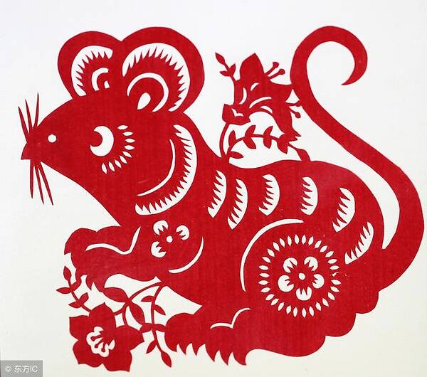 屬雞2021年運勢及運程_2021年生肖運勢大全_2021年運勢