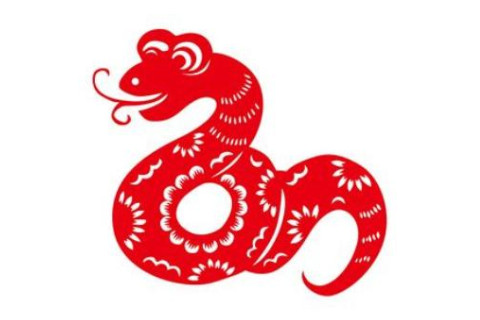 屬蛇人的婚姻與命運怎樣?