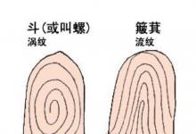 十個簸箕代表什么意思?