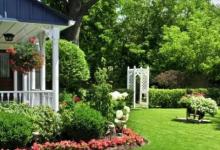 房前屋后種什么樹好?