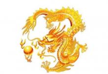 屬龍的本命年是哪幾年?