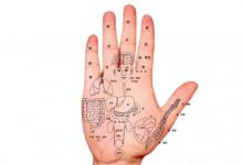 手掌各部位代表什么內臟?