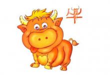 屬牛人的婚姻與命運如何?