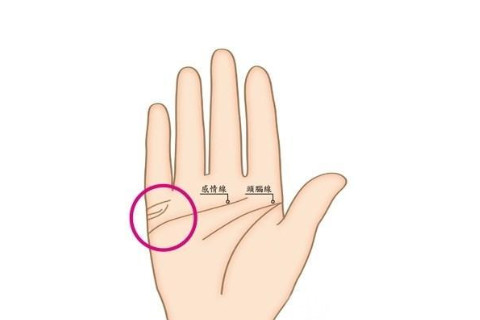 婚姻線有島紋的人好不好?