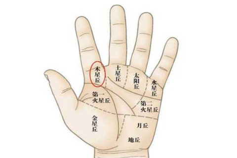 怎么看女人的手相?