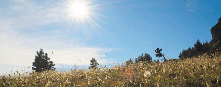 八字測配偶家境_日柱看配偶家境_八字測配偶何時出現(xiàn)