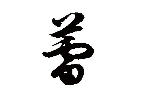 帶蕾字女孩子名字大全