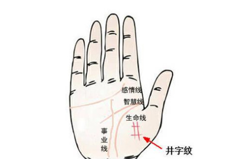 手掌紋路的含義有什么?