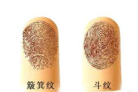 手指上的斗和簸箕代表什么意思?