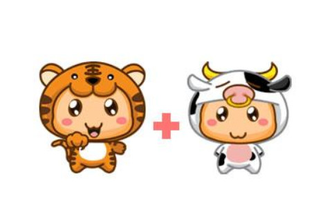 屬牛和屬虎的婚姻如何？