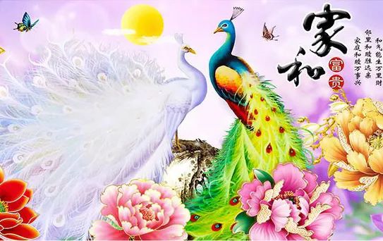 屬馬2021年運勢及運程_2021年運勢12生肖運勢_2021年運勢