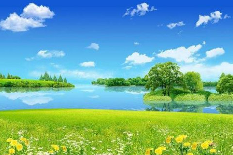 大林木命的人命運如何?