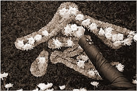 親屬過世后的六大忌諱,不能不知道!