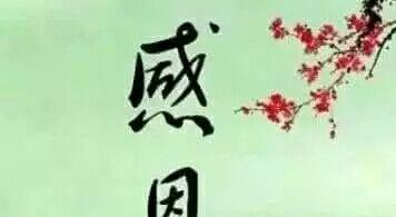 八字無根什么意思:生辰八字算命無根怎么回事