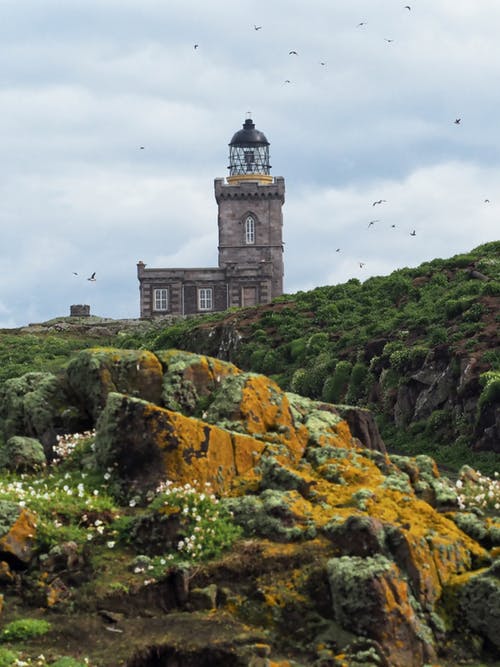 八字與父母不和_八字命學(xué)3八字批判要領(lǐng)_高命格八字和低命格八字桃花運(yùn)