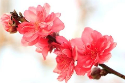 如何測(cè)試正緣何時(shí)出現(xiàn)?