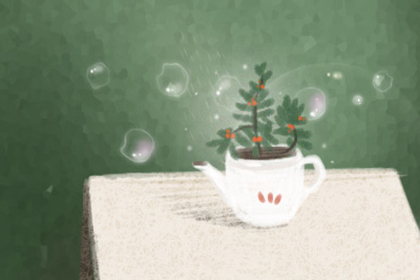 桃花煞是什么意思,桃花煞代表什么