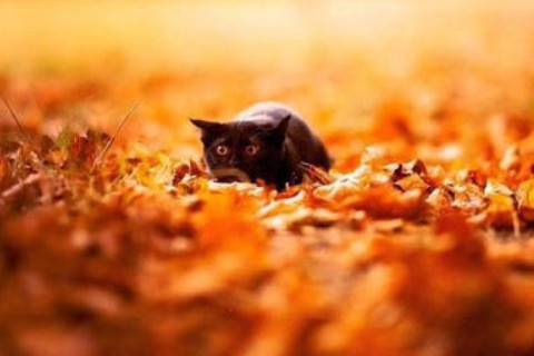 火命和木命在一起財運如何?