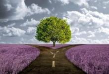 天蝎座2021年桃花運勢如何？