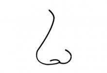 面相:五官指的是什么?