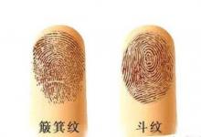 手指上的斗和簸箕代表什么意思?