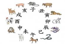 十二生肖配對表