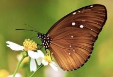 取名字的禁忌大全