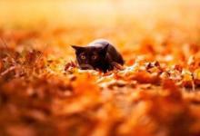 火命和木命在一起財運如何?