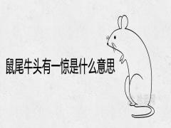 鼠尾牛頭有一驚是什么意思