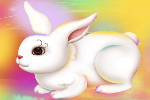 什么生肖和屬兔不配?