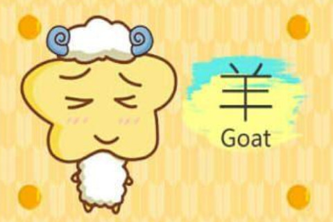 1991年的人是屬于什么生肖?